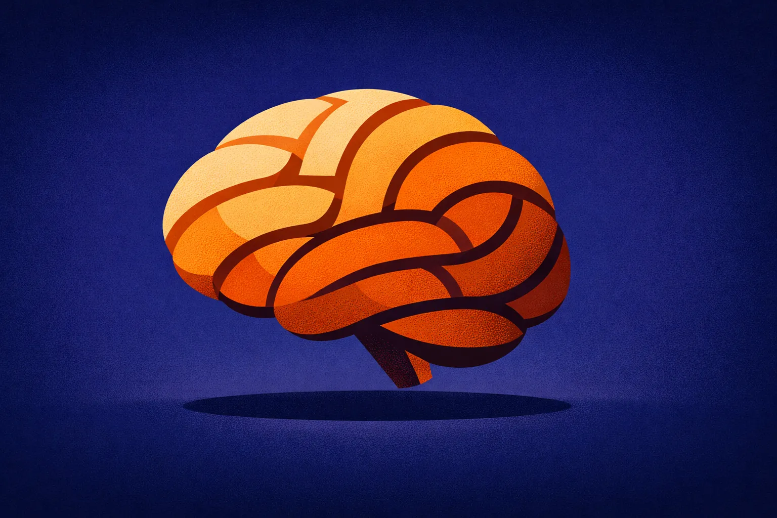 Brain illustration